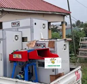 Automatic Incubator Ya Mayai 30