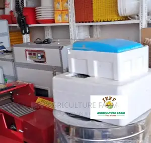 Automatic Incubator Ya Mayai 30