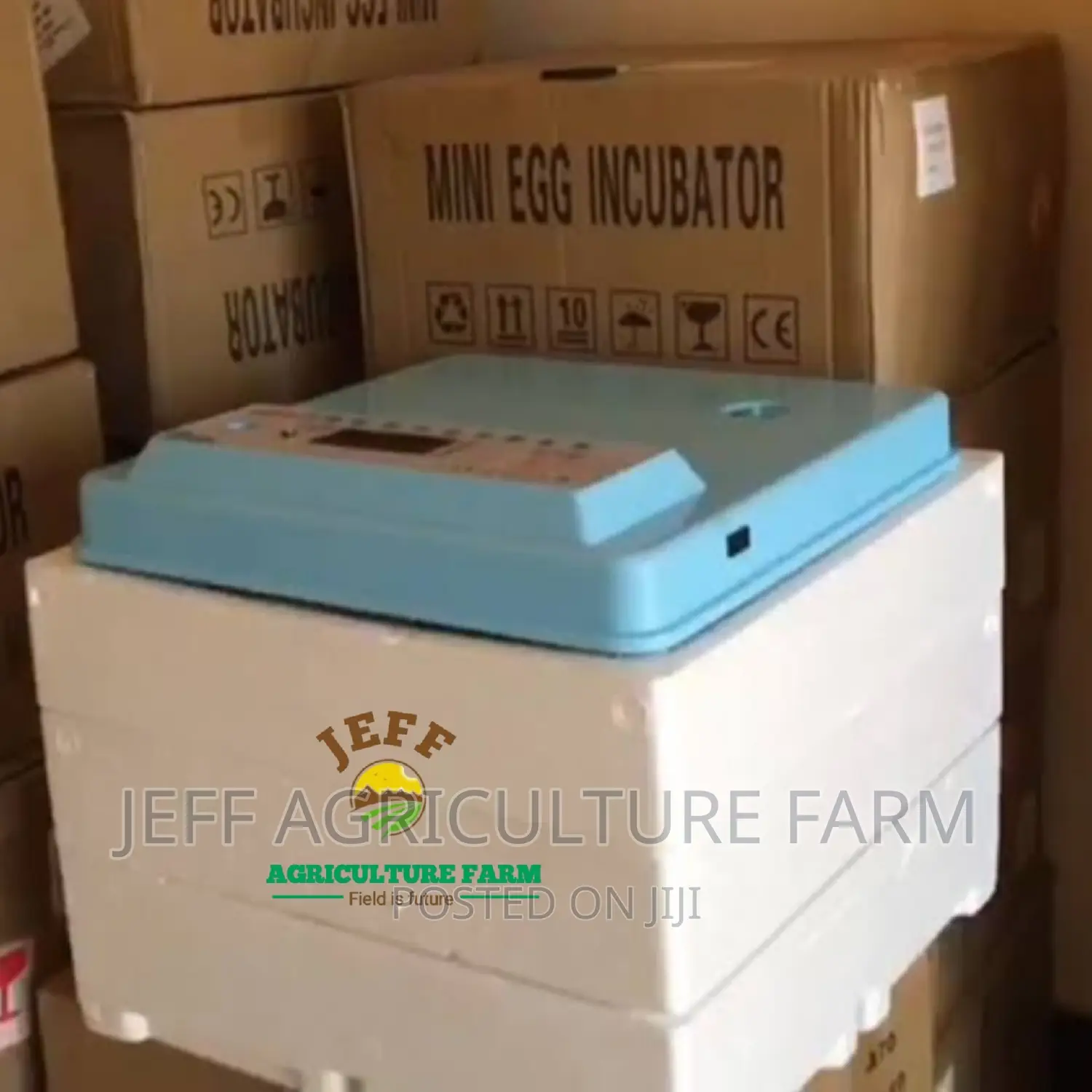 Automatic Incubator Ya Mayai 30