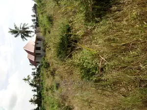 Kiwanja Kinauzwa Mbagala Mbande