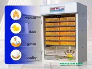 1056 Incubator Machine Eggs