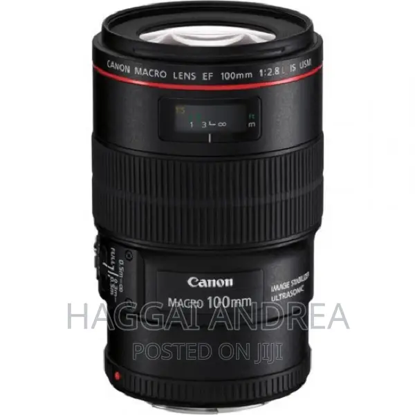 Canon EF 100mm F/2.8l Macro IS USM Lens