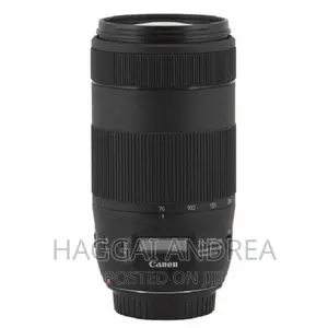 Canon EF 70-300mm F/4-5.6 IS II USM Lens
