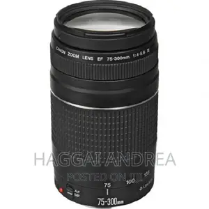 Canon EF 75-300mm F/4-5.6 III Lens