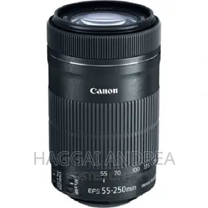 Canon EF-S 55-250mm F/4-5.6 IS STM Lens