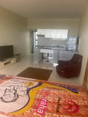 Furnished 1bdrm Apartment in Masaki for rent