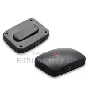 FM Wireless Microphone