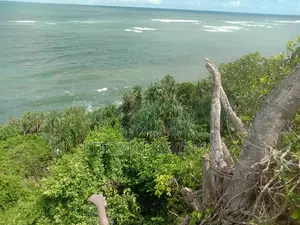 Beautiful Cliffside Beach Plot for Sale in Puna, Kigamboni.