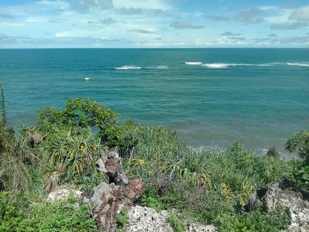Beautiful Cliffside Beach Plot for Sale in Puna, Kigamboni.