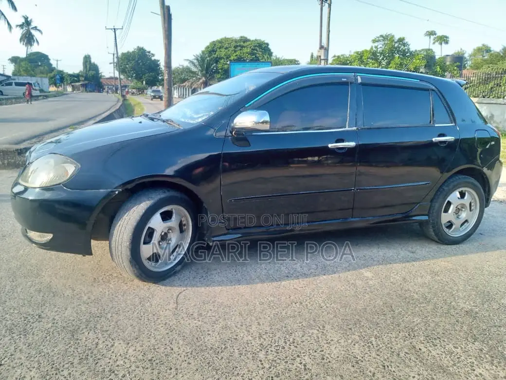 Toyota Allex 2003 Black