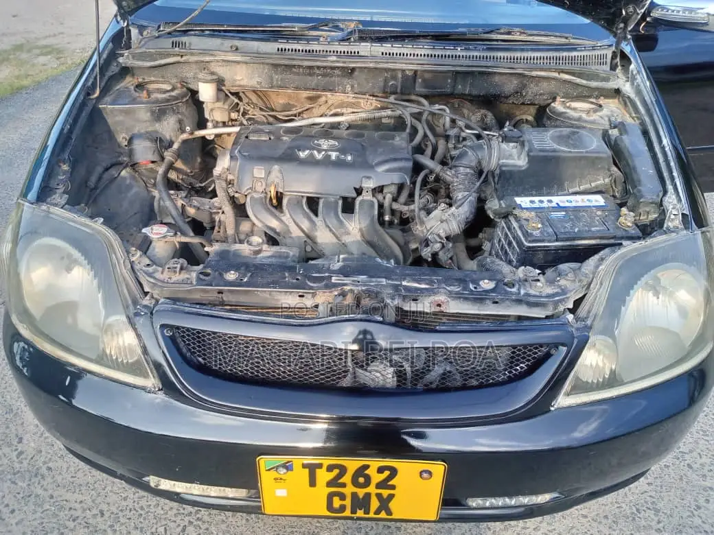 Toyota Allex 2003 Black
