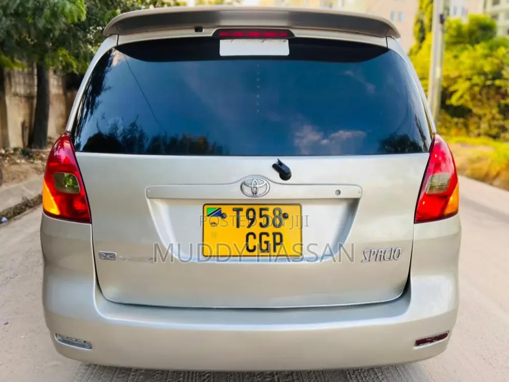 Toyota Corolla Spacio 2004 Silver