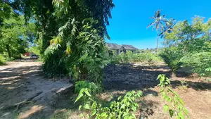 Industrial Plot for Sale at Salasala