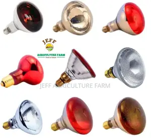 Taa Za Joto Infrared Bulb 100W