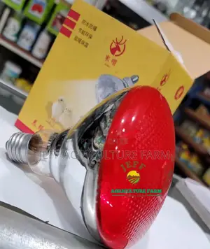Taa Za Joto Infrared Bulb 100W