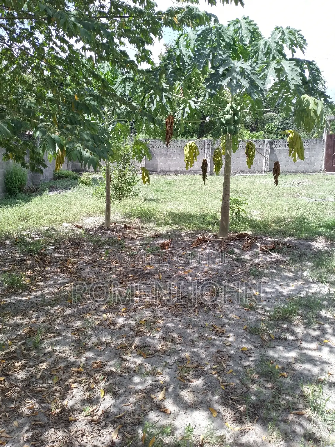 3bdrm House in Tanzania Dsm Ukonga for rent