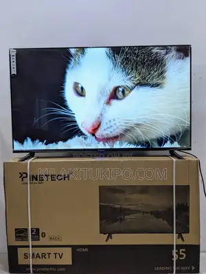 Pintech Smart Android TV Inch 55