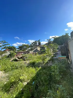 Mbezibeach Kiwanja Kinauzwa.