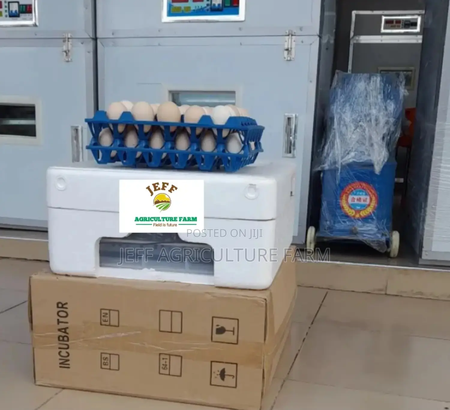 60 Eggs Available Incubator Machine