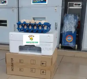 60 Eggs Available Incubator Machine