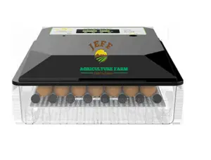 60 Eggs Available Incubator Machine