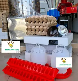 60 Eggs Available Incubator Machine