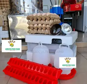 60 Eggs Available Incubator Machine
