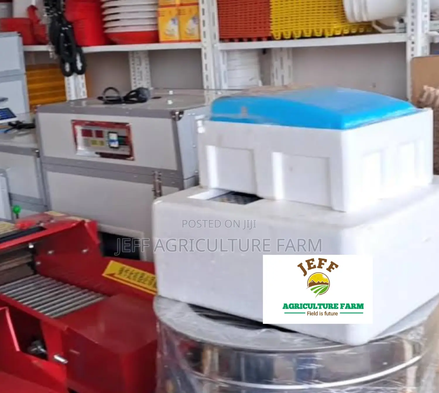 60 Eggs Available Incubator Machine
