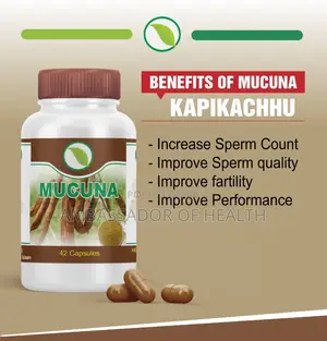 Mucuna Give You Good Performance and Sperm Count