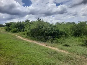 Eneo La Barabarani Fukayosi Bagamoyo Ekari 4