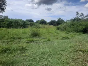 Eneo La Barabarani Fukayosi Bagamoyo Ekari 4