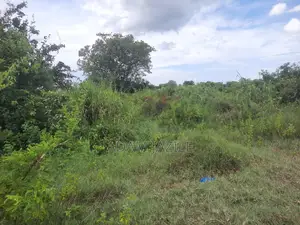 Eneo La Barabarani Fukayosi Bagamoyo Ekari 4