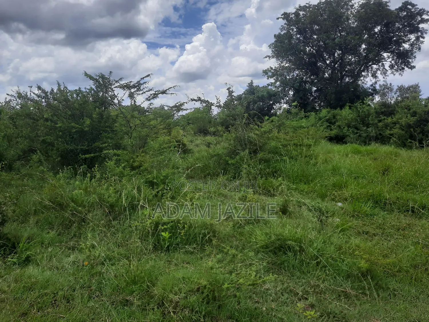 Eneo La Barabarani Fukayosi Bagamoyo Ekari 4