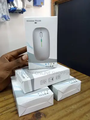 Rechargeable Wireless ,Silent and Ergonomic Mouse