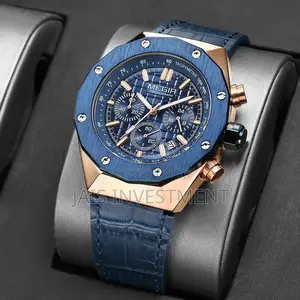 MEGIR Watch