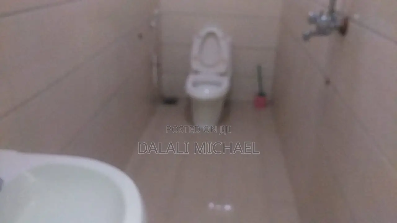 Furnished 3bdrm Apartment in Mikocheni for rent