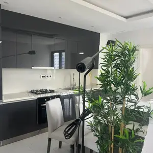 Furnished 2bdrm Apartment in Mbezi for rent