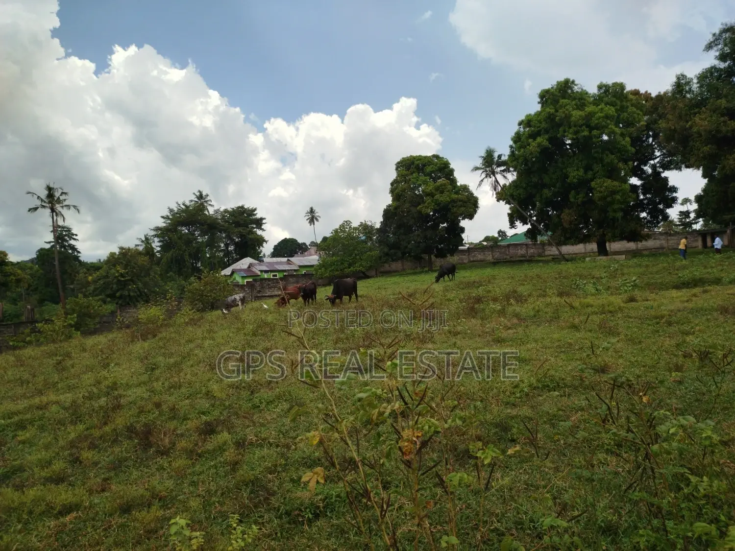 Land for Sale at Kinyerezi With 8acres for Sale ( Fenced )