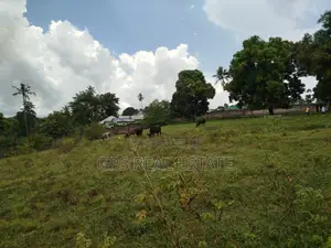 Land for Sale at Kinyerezi With 8acres for Sale ( Fenced )