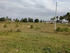 1acre Plot for Sale at Bagamoyo Ukuni ( Bagmy Total Energy)