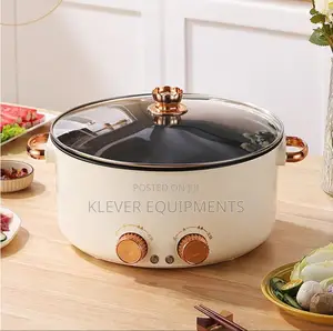 Double Multifunctional Electric Pot