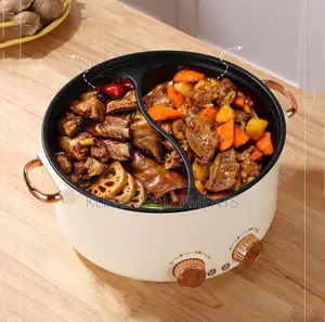 Double Multifunctional Electric Pot