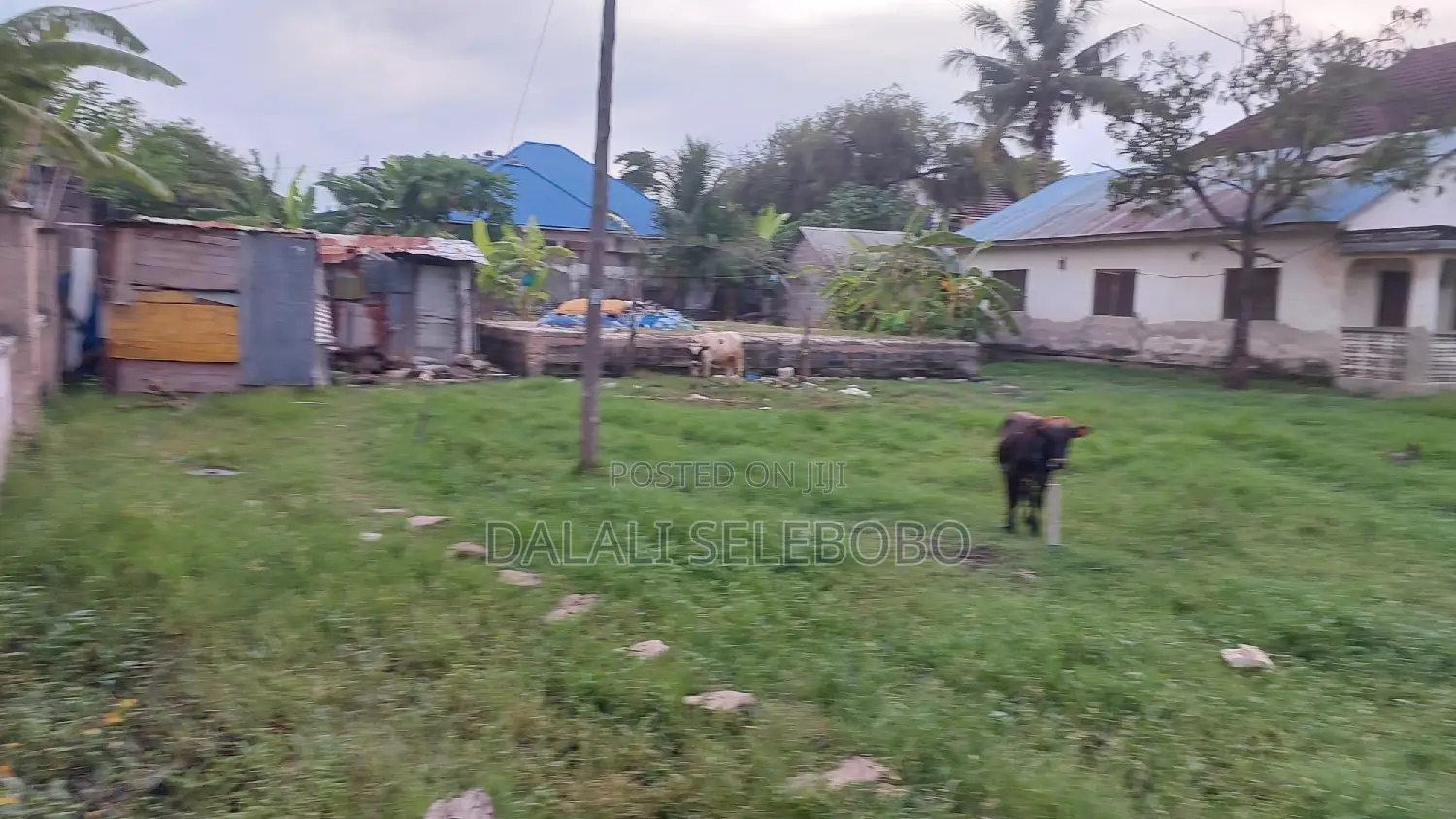 Plot Mbez Beach Jk Nyerere Pazuri Sana