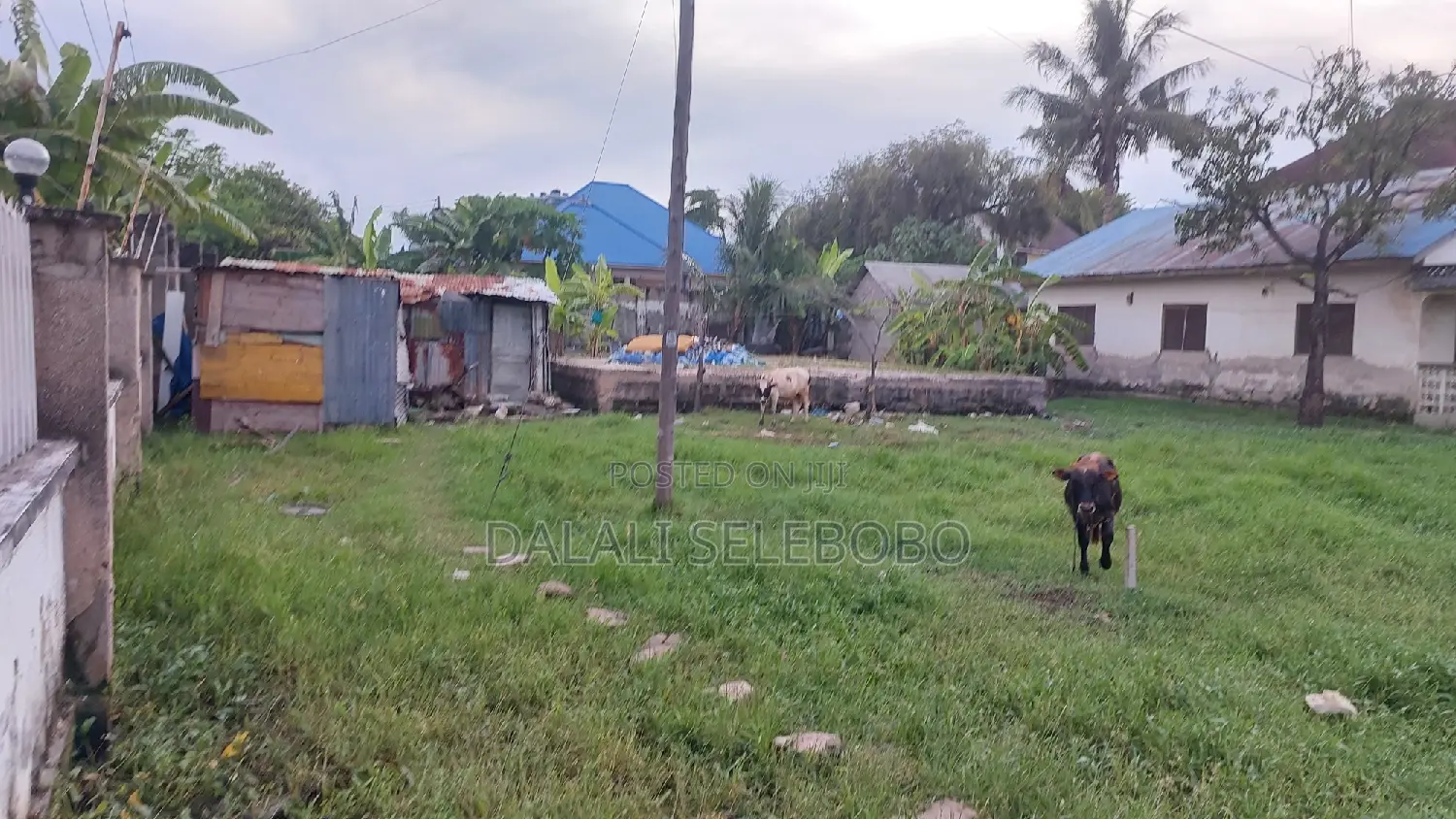 Plot Mbez Beach Jk Nyerere Pazuri Sana