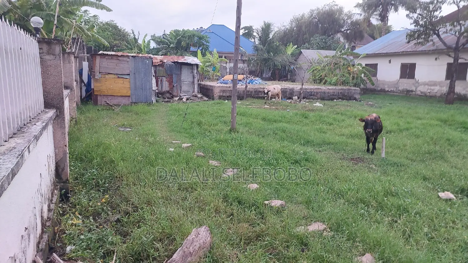 Plot Mbez Beach Jk Nyerere Pazuri Sana