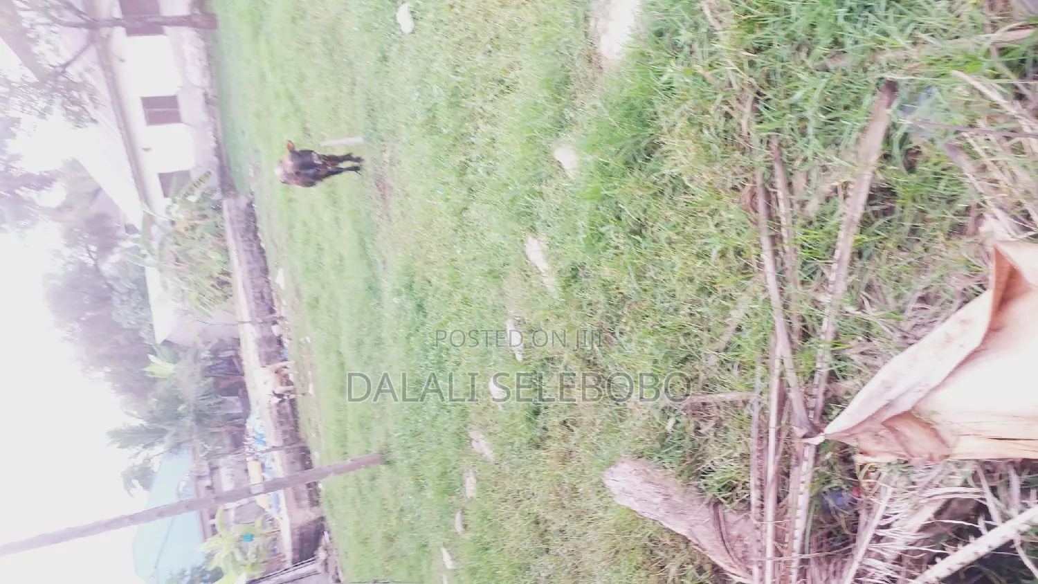 Plot Mbez Beach Jk Nyerere Pazuri Sana
