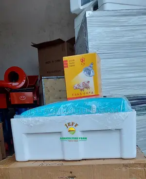 Incubator Machine Mayai 30 Weekend Ofaa