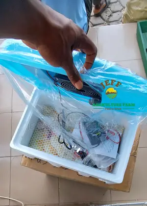 Incubator Machine Mayai 30 Weekend Ofaa