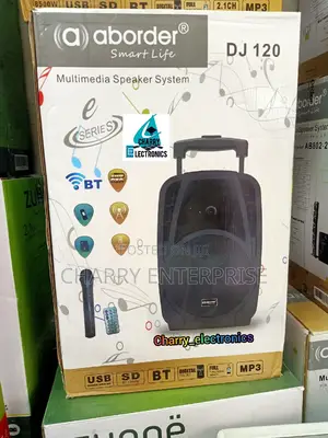 Aborder Rechargeable Speaker System With Wireless Mic DJ120
