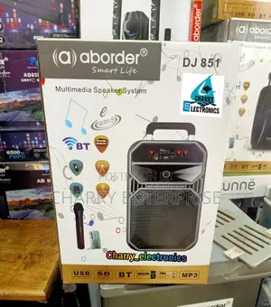 Aborder Rechargeable Speaker With Wireless Mic DJ85130W 8"